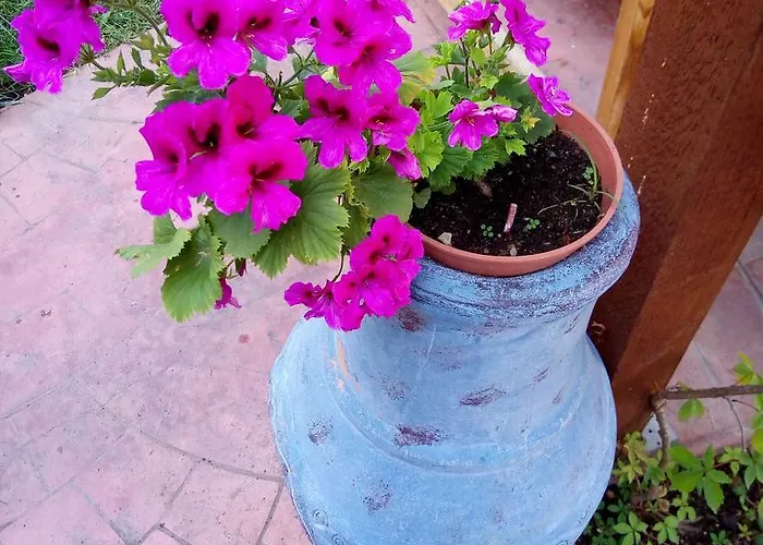 Appartement Terrace Under The Stars