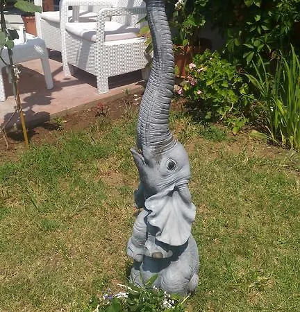 דירה Terrace Under The Stars *