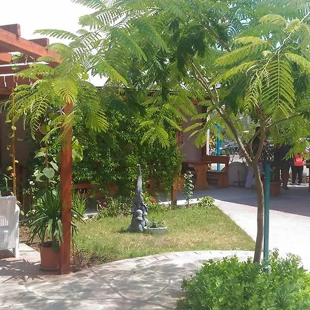 Terrace Under The Stars פרימורסקו