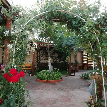 Terrace Under The Stars Apartman *