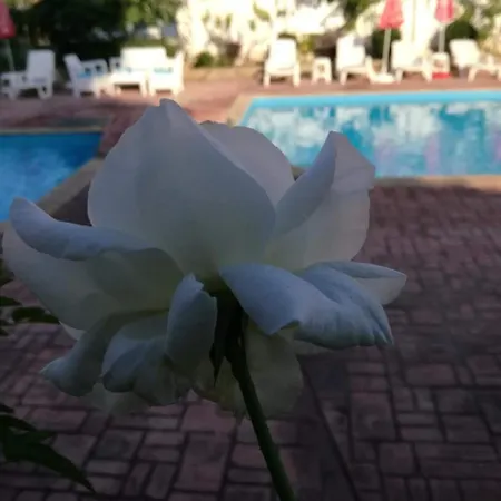 Terrace Under The Stars