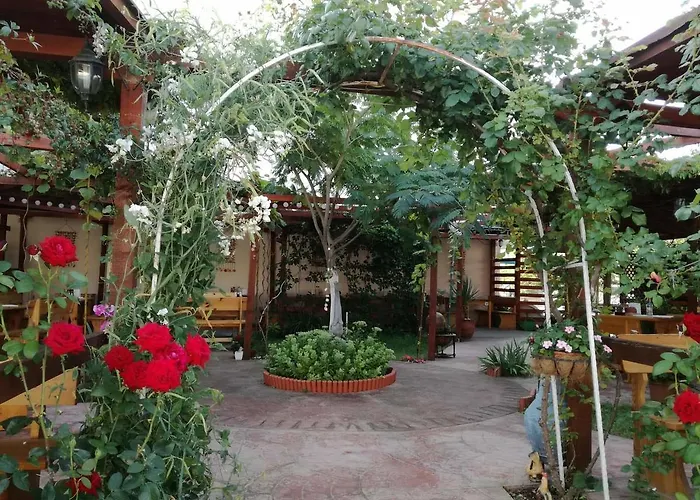 Terrace Under The Stars Appartement *